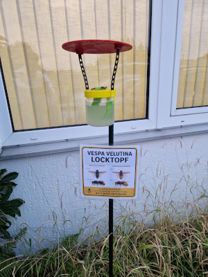 Dufttopf